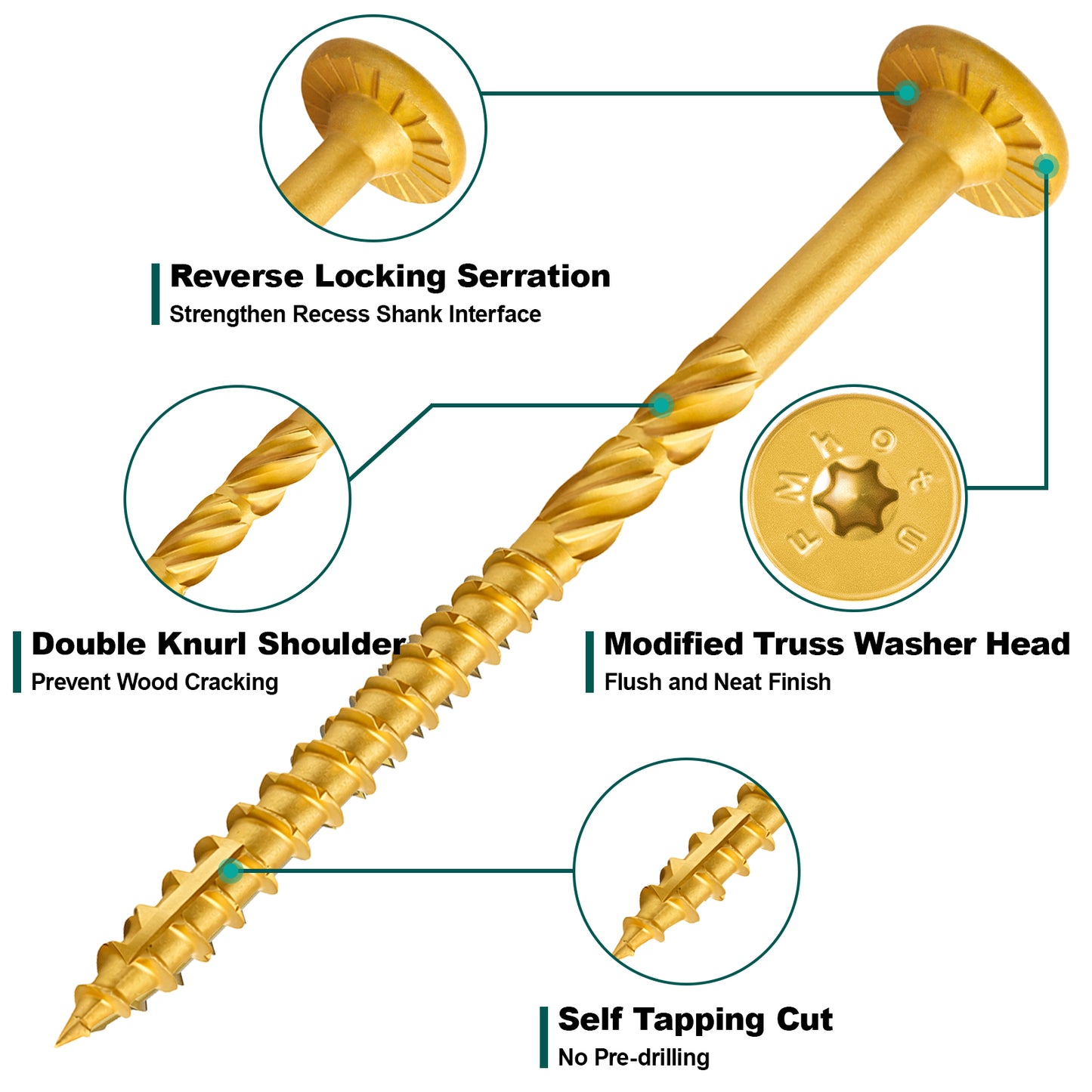 #14 x 10 Inch Wood Structural Lag Screws Star Drive Decking Wood Screws, Rust Resistant Timber Screws for Timber/Log/Landscaping (Yellow)